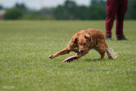 RielVisuals_20240527_142143_SJR02501