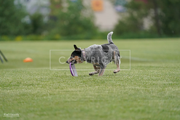 RielVisuals_20240525_164247_SJR05281
