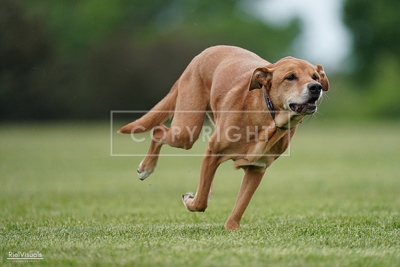 RielVisuals_20240525_161932_SJR04132