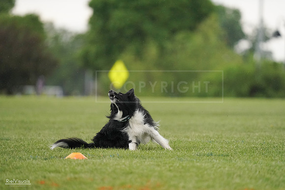 RielVisuals_20240526_095517_SJR01370