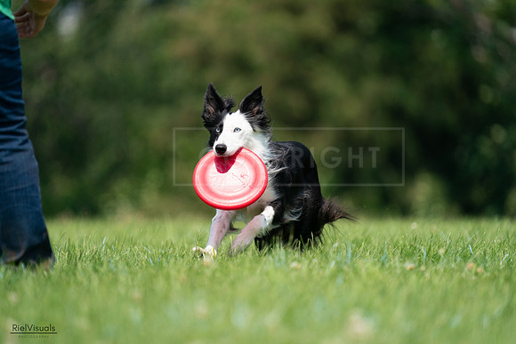 RielVisuals_20240727_114835_SJR04012
