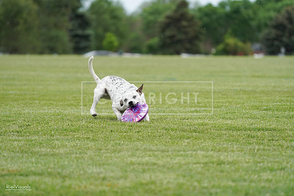 RielVisuals_20240525_160331_SJR03338