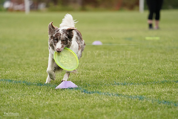 RielVisuals_20240526_132930_SJR07956