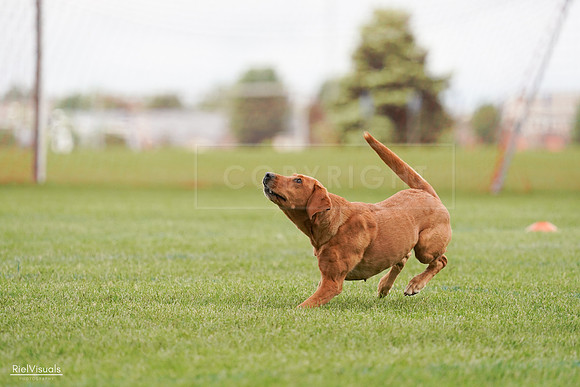 RielVisuals_20240527_141128_SJR01853