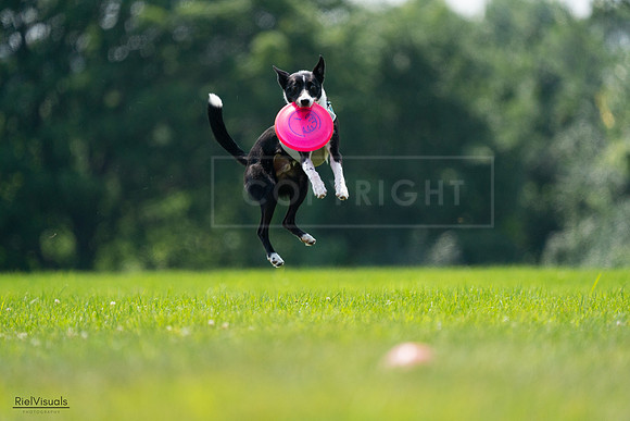 RielVisuals_20240727_130809_SJR06979