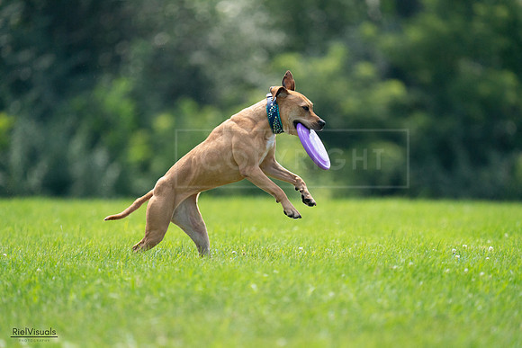 RielVisuals_20240728_135336_SJR07401