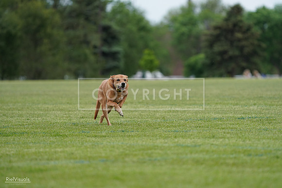 RielVisuals_20240525_161754_SJR03944