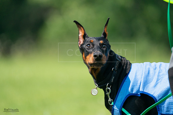RielVisuals_20240728_103415_SJR08527