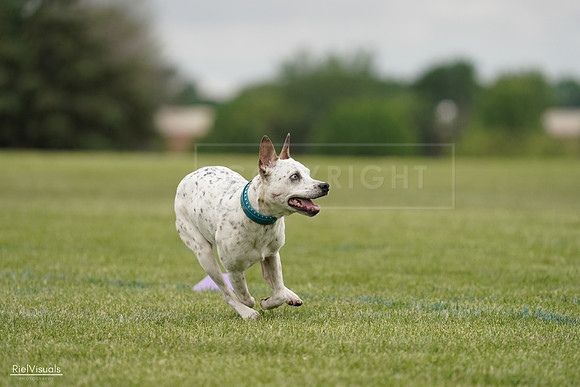 RielVisuals_20240526_134211_SJR08727