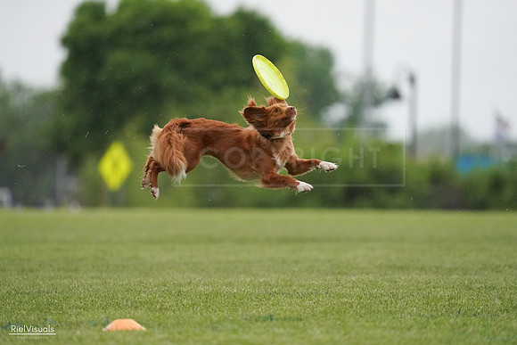 RielVisuals_20240526_093131_SJR00289