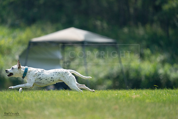 RielVisuals_20240727_120919_SJR04816