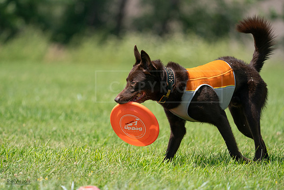 RielVisuals_20240728_130934_SJR05286