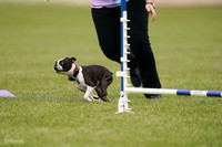 RielVisuals_20240527_142618_SJR02709