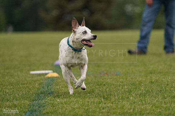 RielVisuals_20240526_134224_SJR08768