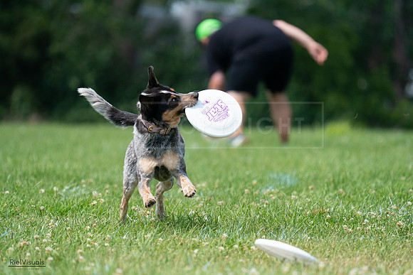 RielVisuals_20240727_133941_SJR07960