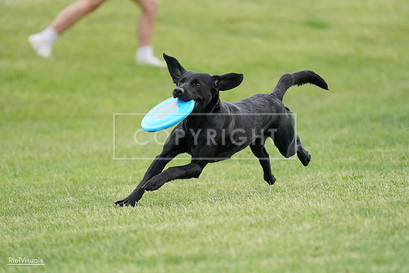 RielVisuals_20240525_163945_SJR05111
