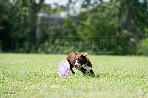 RielVisuals_20240728_144915_SJR09243