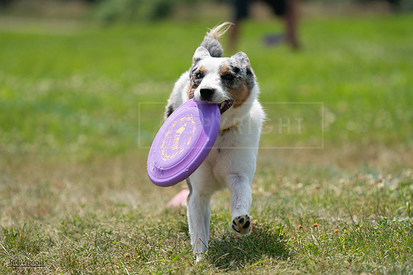 RielVisuals_20240728_130611_SJR05095