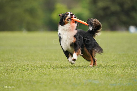 RielVisuals_20240527_132734_SJR09861