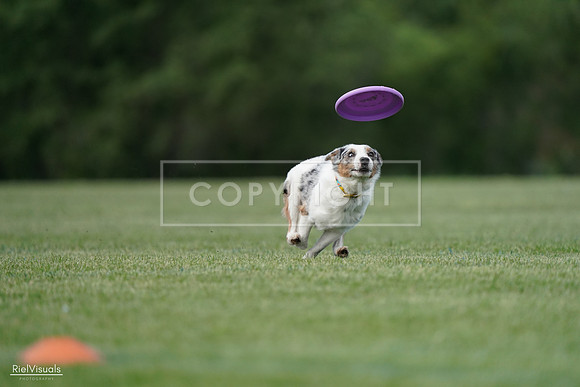 RielVisuals_20240525_090709_SJR09589