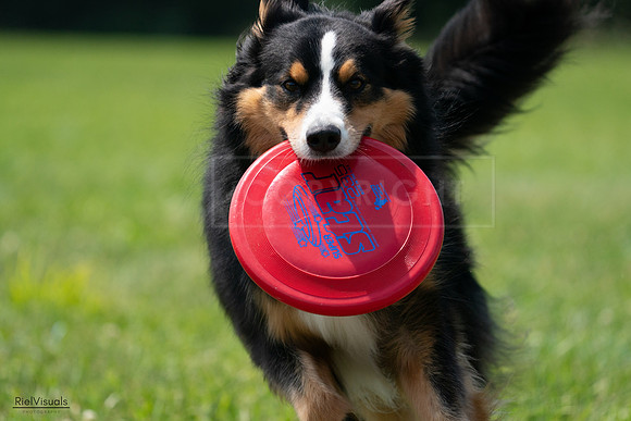 RielVisuals_20240728_131639_SJR05628