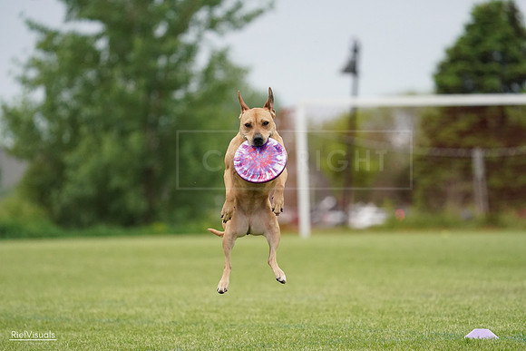 RielVisuals_20240526_131531_SJR07270