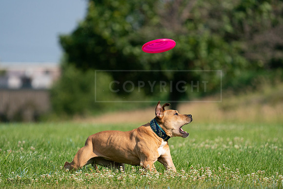 RielVisuals_20240727_093059_SJR06600