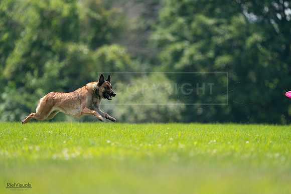 RielVisuals_20240727_131914_SJR07553