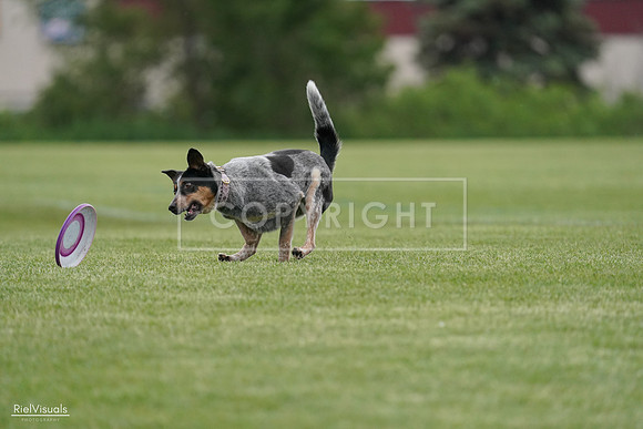 RielVisuals_20240525_164247_SJR05277