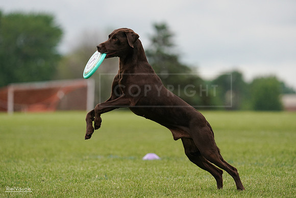 RielVisuals_20240527_132520_SJR09697
