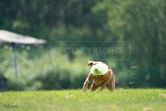 RielVisuals_20240727_122424_SJR05483