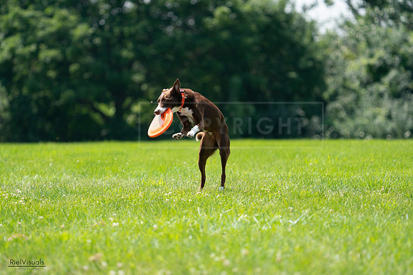 RielVisuals_20240728_123341_SJR04206