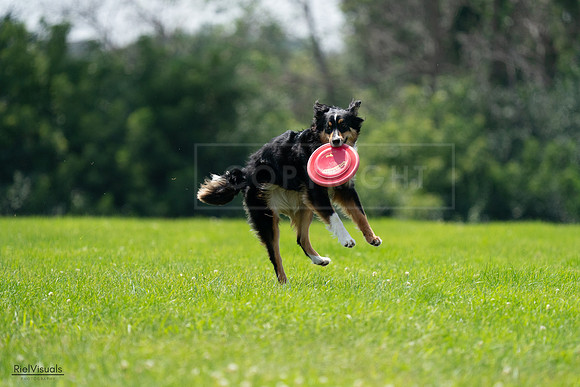 RielVisuals_20240728_132059_SJR05853