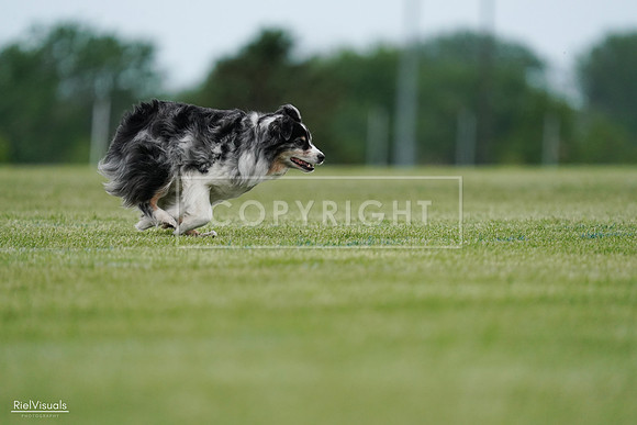 RielVisuals_20240525_163042_SJR04673