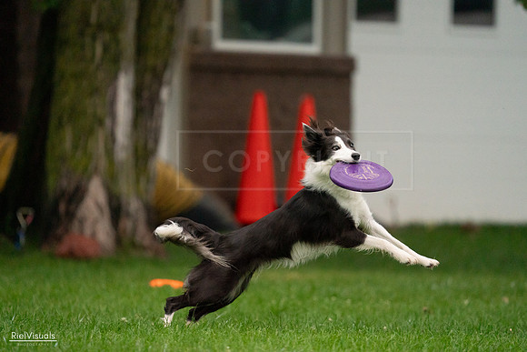 RielVisuals_20240722_192651_SJR00970