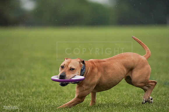 RielVisuals_20240527_094219_SJR08509