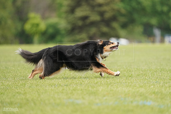 RielVisuals_20240527_133246_SJR00200