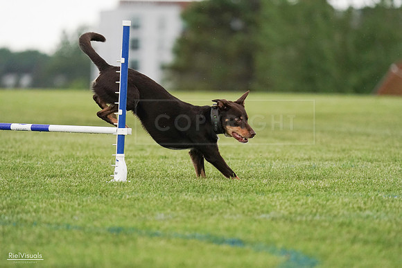 RielVisuals_20240526_095737_SJR01501