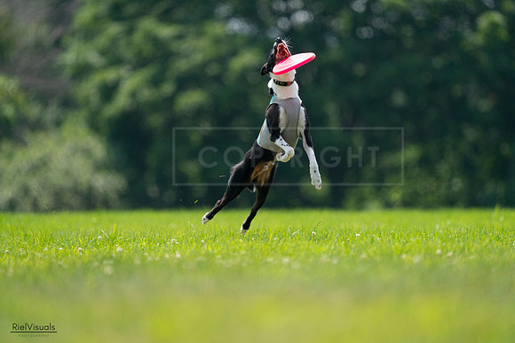 RielVisuals_20240727_130808_SJR06973