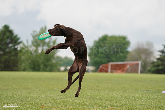 RielVisuals_20240527_132602_SJR09776