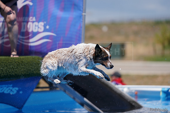 SJR06701