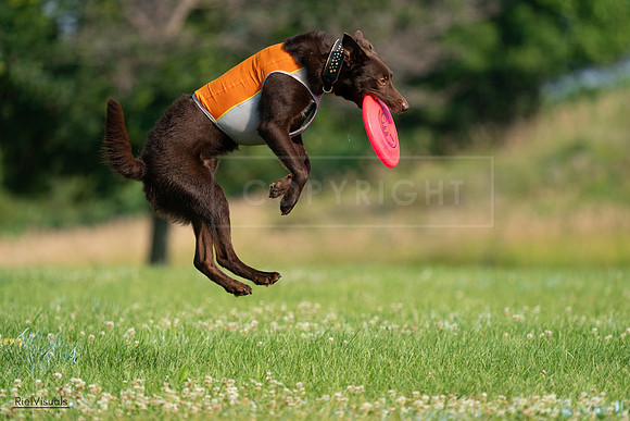 RielVisuals_20240727_092538_SJR06348