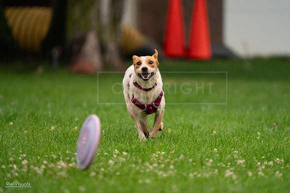 RielVisuals_20240722_193733_SJR01569