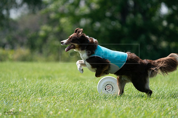 RielVisuals_20240728_144726_SJR09156