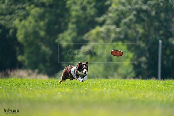 RielVisuals_20240727_130343_SJR06692