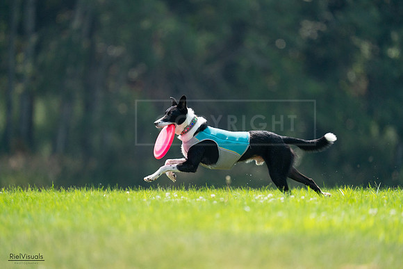 RielVisuals_20240727_120354_SJR04642