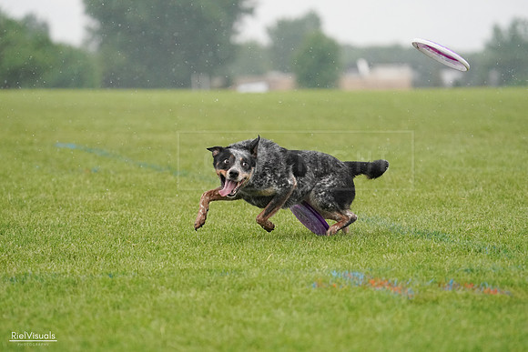 RielVisuals_20240527_105254_SJR02158