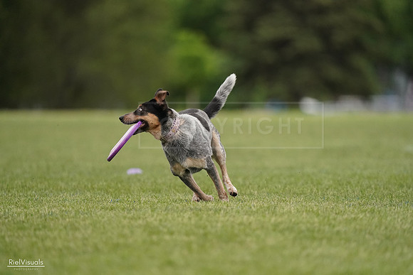RielVisuals_20240526_132151_SJR07583