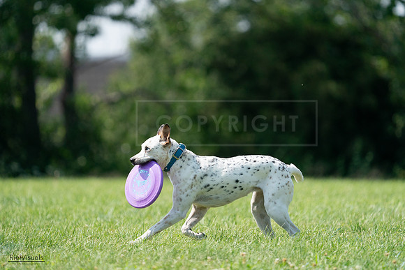 RielVisuals_20240728_151618_SJR00492