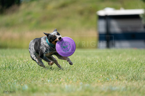 RielVisuals_20240728_145217_SJR09426
